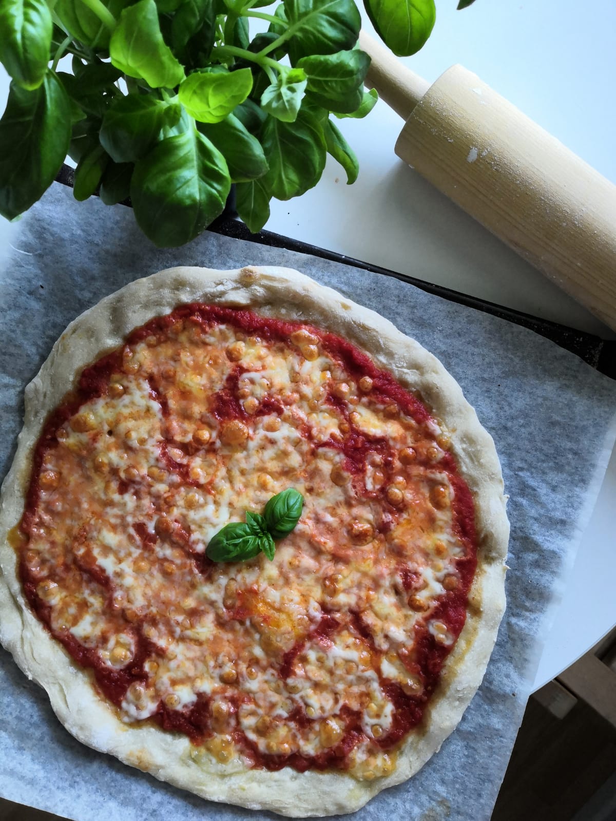 Recipe Pizza Margherita INSIDER