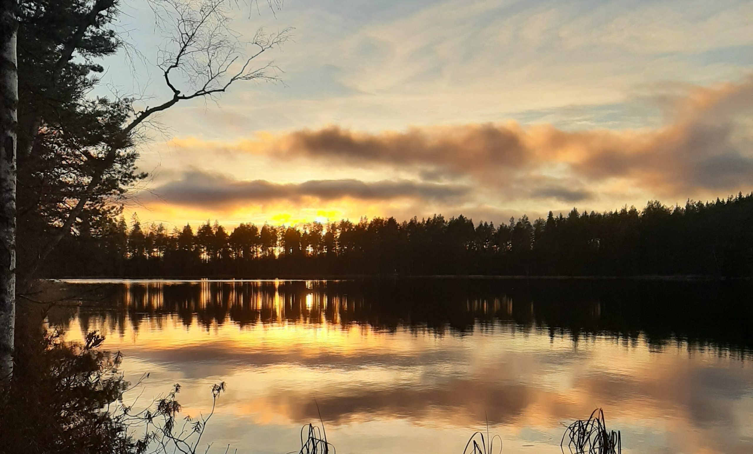 Finnish Nature Inspires – INSIDER
