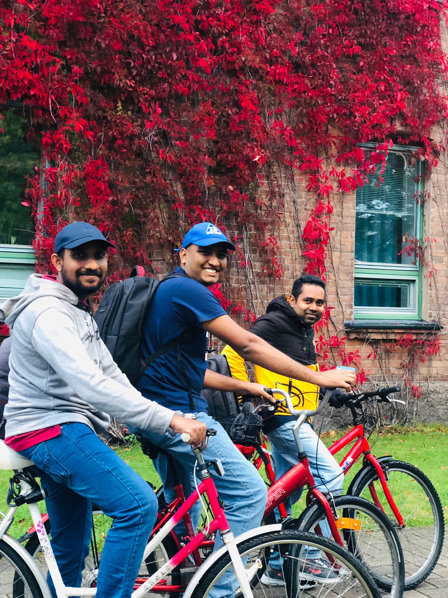 Unlocking Joy: The Secret Power Of Ordinary Pastimes