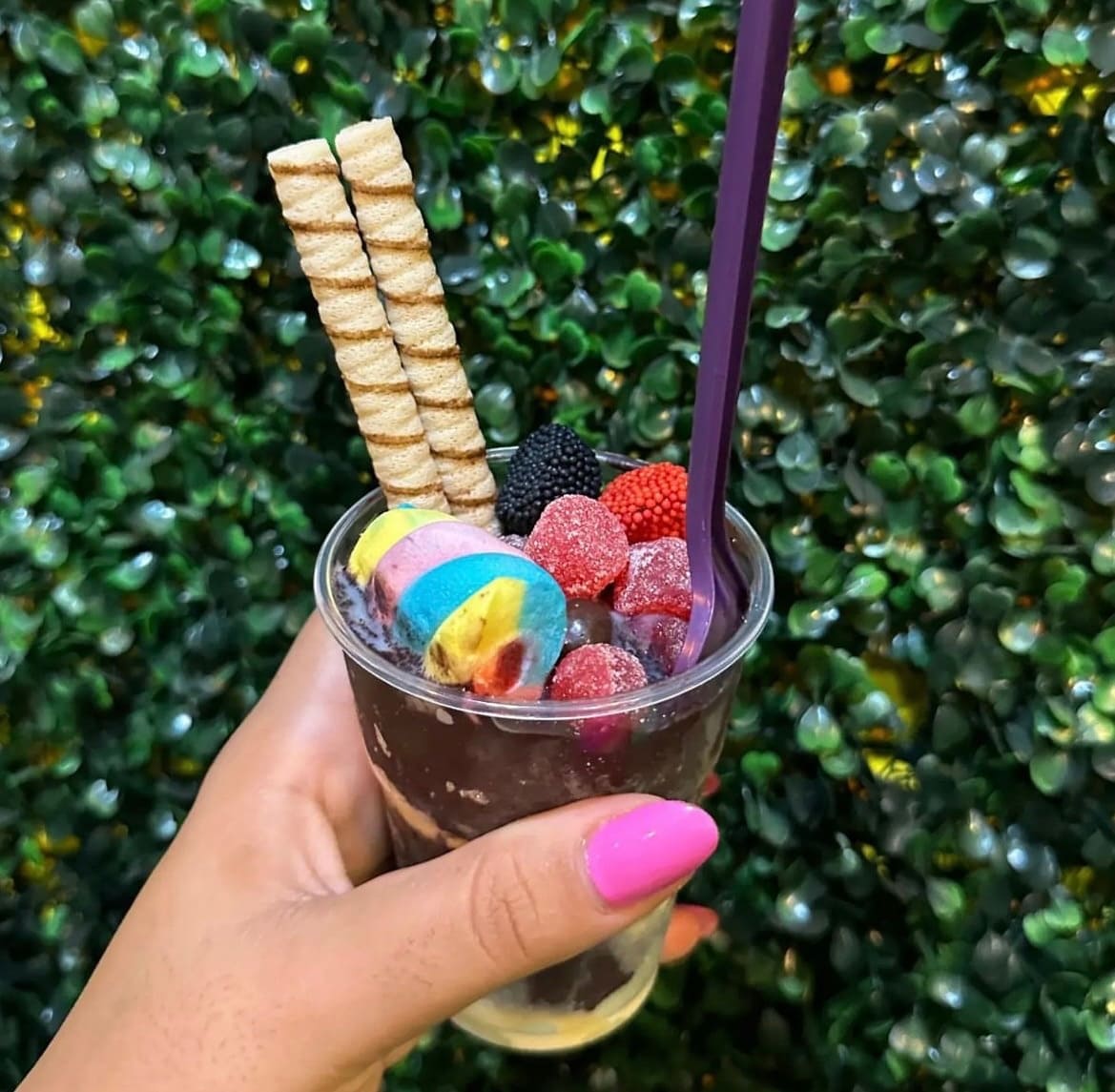 ice-cream-insider