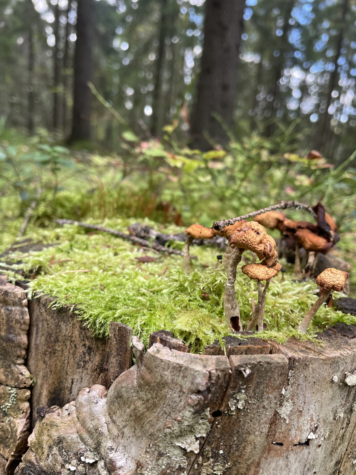 Understanding visual data 8